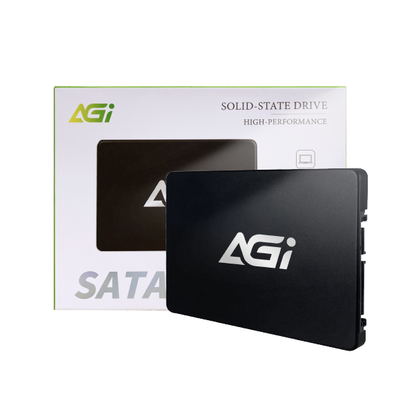 AGI-SATA 256GB